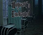 Harry Potter - 3D Game Porn from ginny potter porn