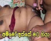 Sri Lankan Hot Tiktok Girl Fucking with Friend from hot tiktok boobstik