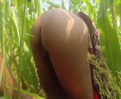 Village Wife Affair With Ex-boyfriend Outdoor Sex from village farm badmasti