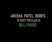 amisha patel boobs from amisha patel s