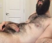 gay cubs bear hairy bearded guys compilation vol 7 from gay furry cub porn