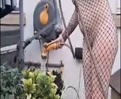 stepmom teasing stepson in her fishnet outfit from dresse mom