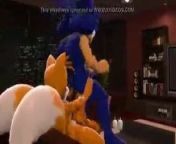 Sonic and Tails from sonic gay