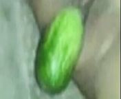 Malay girls play with cucumber from malay girls masturbation
