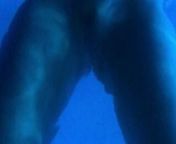 An evening swim, naked of course! from nudist pool darts purenudsmhemale selpal xxcx xxx bha
