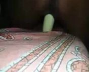 Sl unty cucumber fun her bed from رجل ينيك كلبه ودمه ﺳﻜﺲunty kuliseen sex