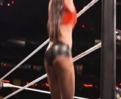 WWE - Nikki Bella jumping up and down on the ring apron from wwe nikki bella nudeuhi chawla sex xxx