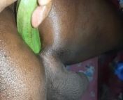 Indian desi teen has an anal with a vegetable dildo in his ass from indian desi gay ha