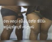 Srilankan wife fucking with neighbor boy from sri lankan kiss and hair job