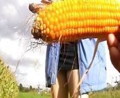 Stunning German lady stuffing a corn in her moist holes from corn island