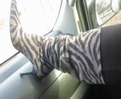 modeling my donald Pliner zebra boots from 泉州外围车模招聘（模特预约）（ 微11778593）全球外围上门自带工作室 泉州外围车模招聘（模特预约）（ 微11778593）全球外围上门自带工作室 wgj