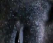 Ebony Slay Queen Exposing hairy pussy from zimbabwe slay queen with pink hair looks leaked video