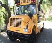 Blond chick gets banged from behind on her school bus from schooj bus sex