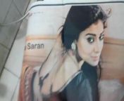Shriya saran is awesome from shriya saran sexbaba commina 9 pimpandhosthamill sex