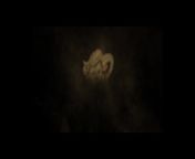 XCHIMERA - Perfect Ass Paula Shy Performs An Amazing Cock Riding Show - LETSDOEIT from best animetiona boro x sex bharti